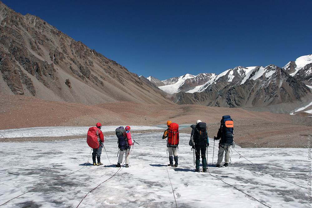 горные туристы в связках идут по леднику в Киргизии