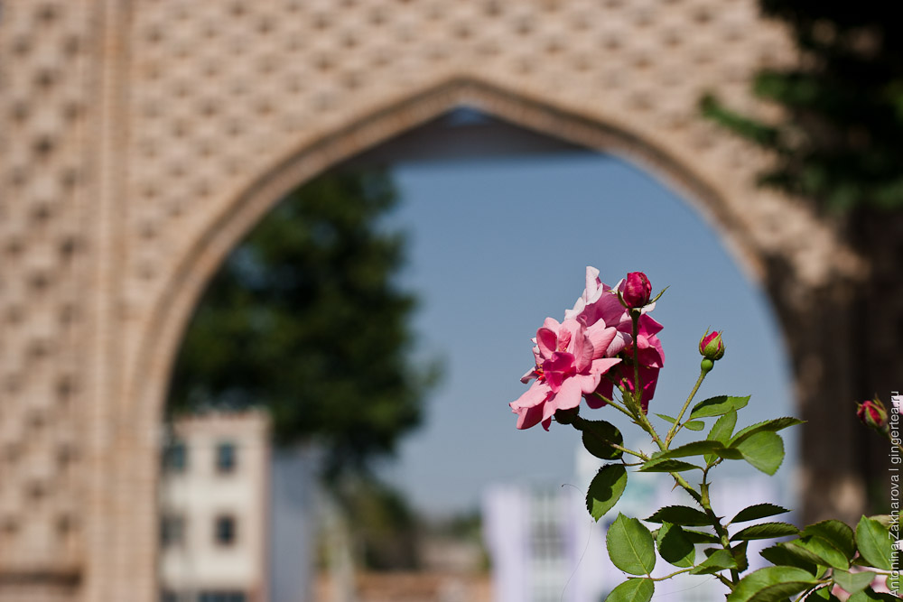 Путешествие по Средней Азии: через Узбекистан и Таджикстан