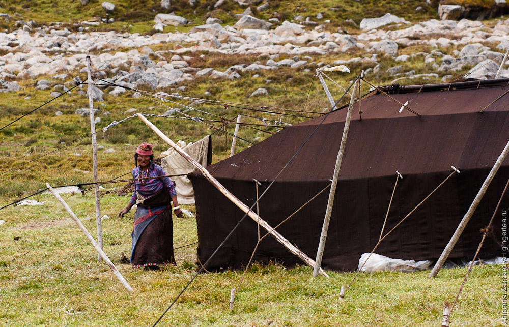 черная палатка из ячьей шерсти используется тибетцами зимой