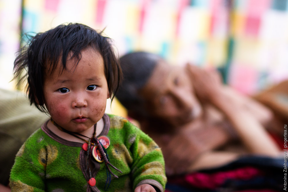 маленький ребенок в палатке тибетских кочевников