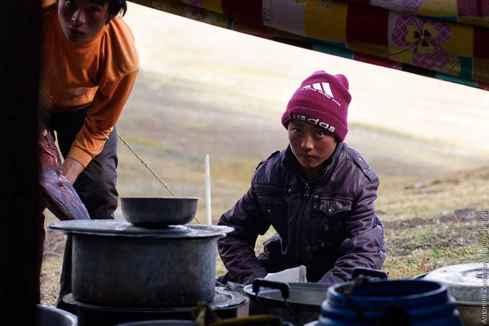 мальчик-тибетец режет мясо в пастушьей палатке