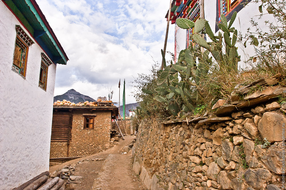 традиционная деревня в Тибете