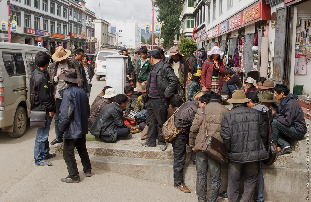 покупка и продажа кордицепса в маленьком городе в Сычуани, Китай