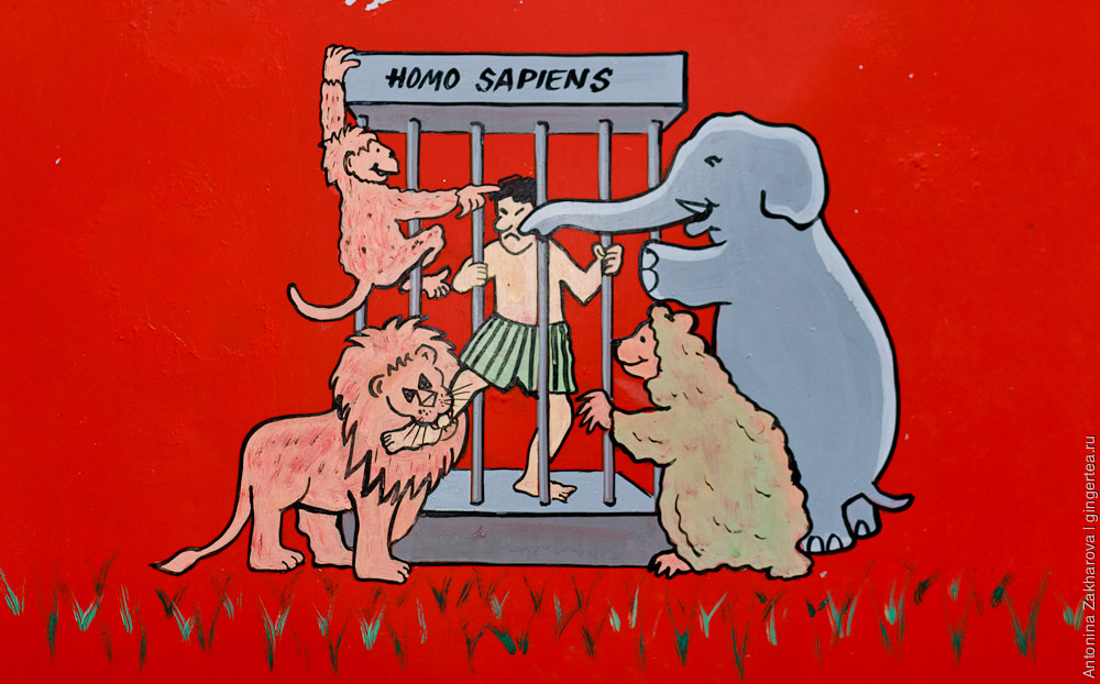 правила поведения в зоопарке, индийский плакат