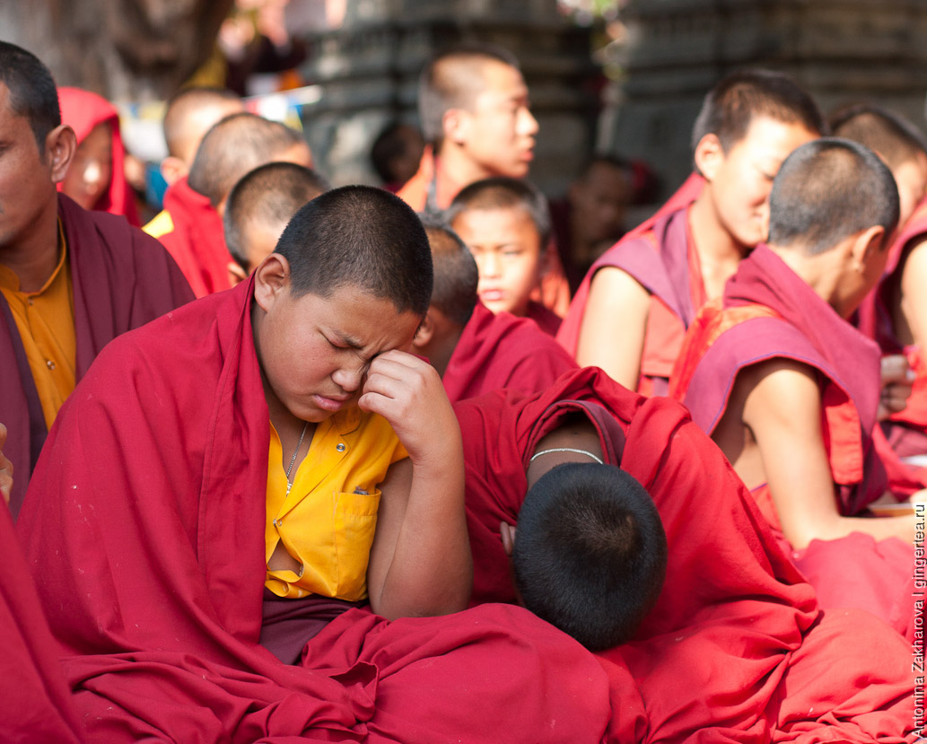 Буддийский фестиваль Кагью Монлам 2009 в Бодхгае