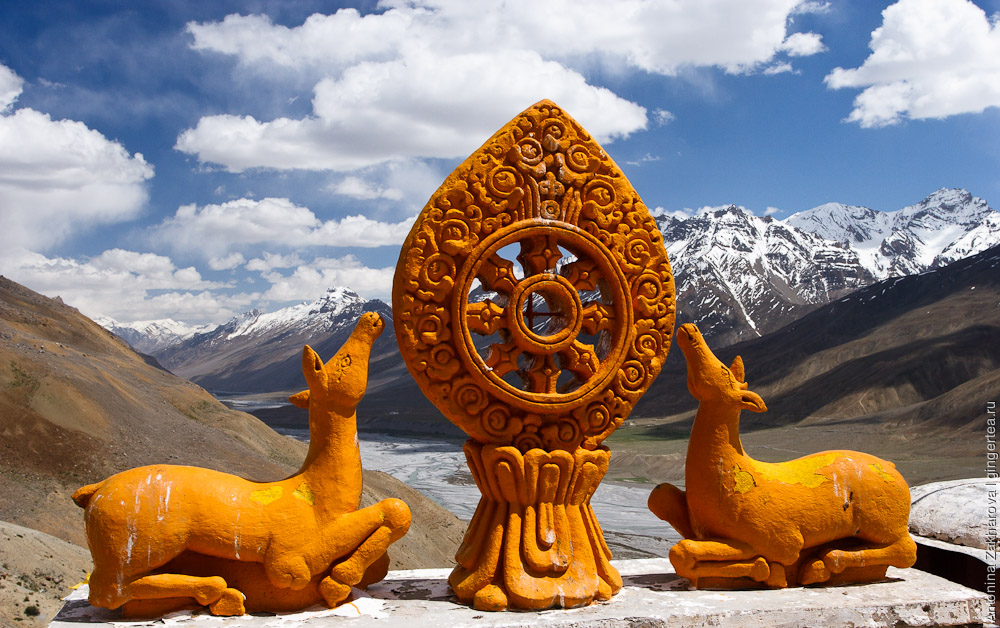 олени и колесо дхармы, deers and dharma wheel