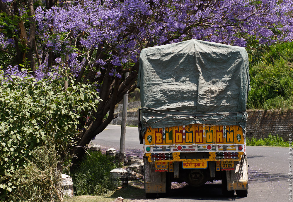 грузовик в Индии, truck in India
