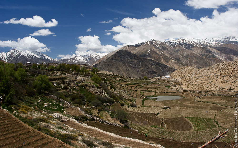 Нако, индо-тибетская граница, Nako village, indo-tibetan border