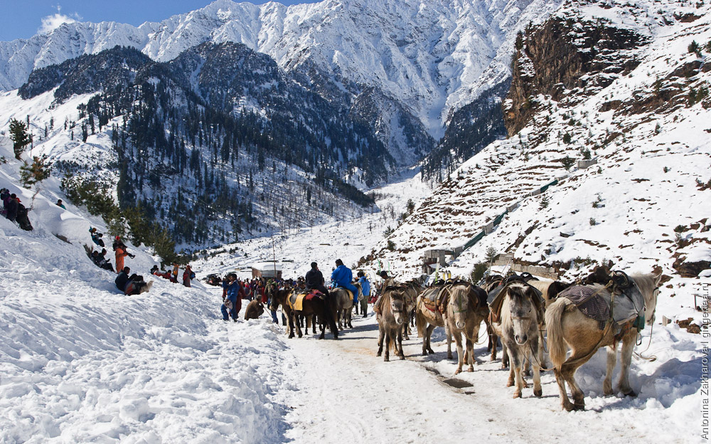 индийские туристы в деревне Коти по дороге на Ротанг зимой