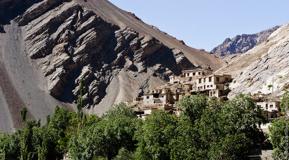 тибетская деревня, окруженная абрикосовыми садами, в долине Инда