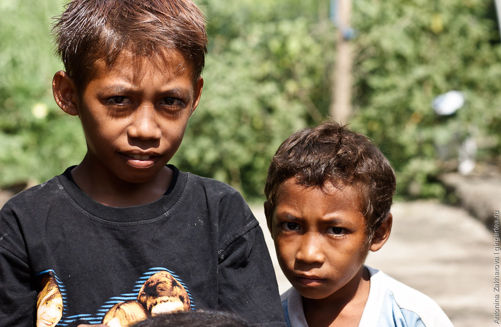 дети из деревни на Флоресе, children from rural Flores
