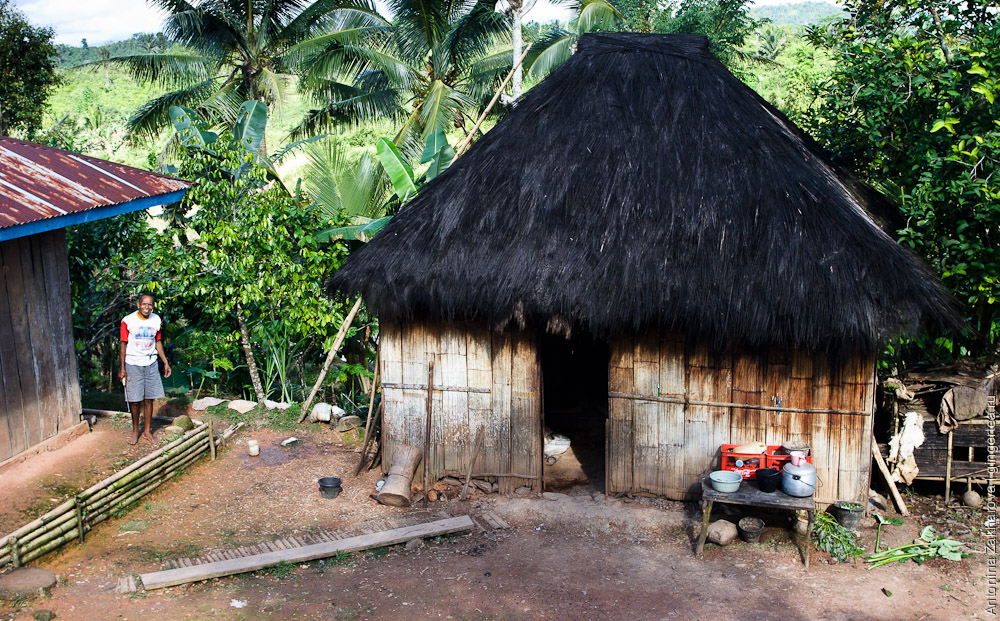 бамбуковая хижина, bamboo hut