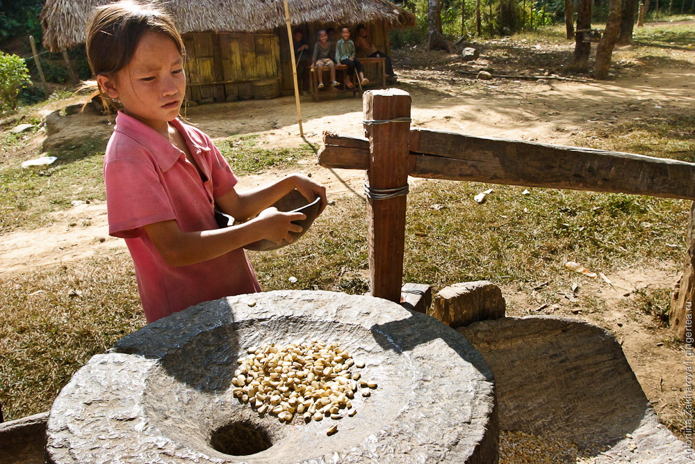 кукуруза в ручной мельнице в Лаосе