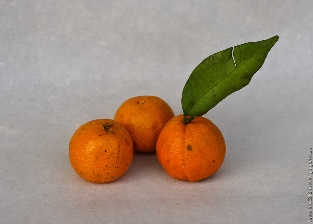 мандарины, tangerine
