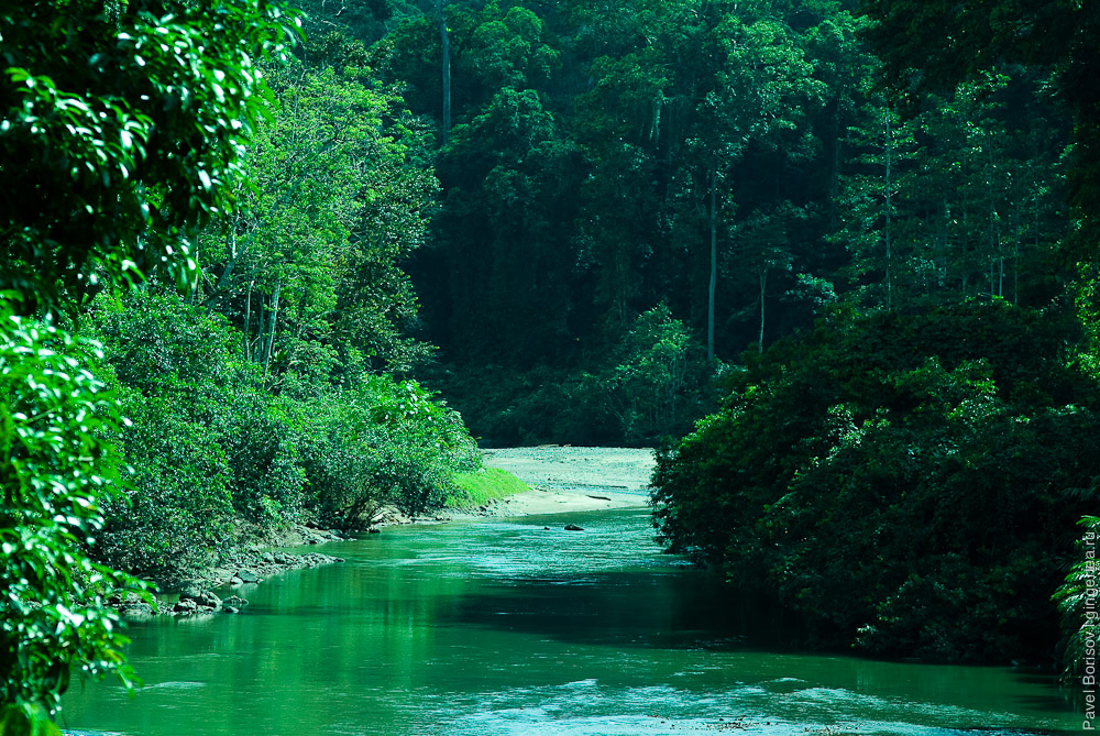 долина Данум, приток реки Сегама Segama tributaries Danum valley