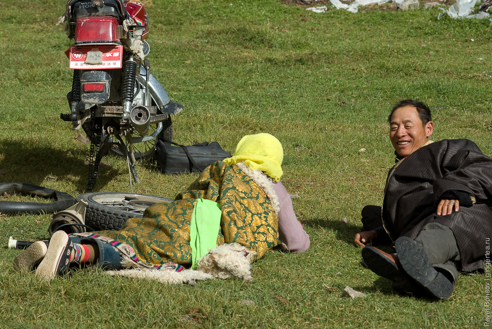 тибетские пастухи, tibetan nomads