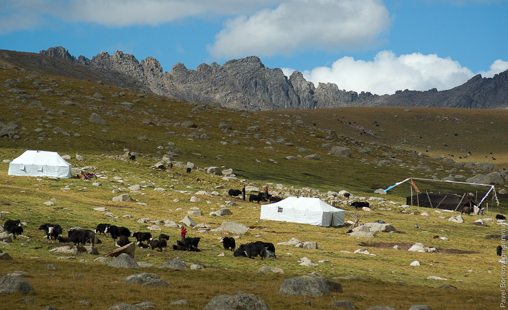 Стойбище тибетских пастухов-кочевников