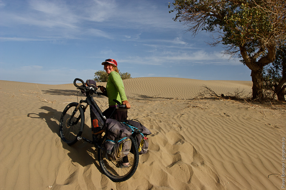 велопоход в пустыне Такла-Макан