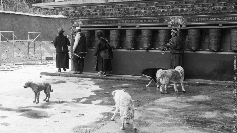 молитвенные колеса в Тибете