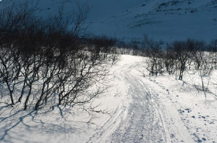 8 марта в новом стиле - по зимним Хибинам на лыжах