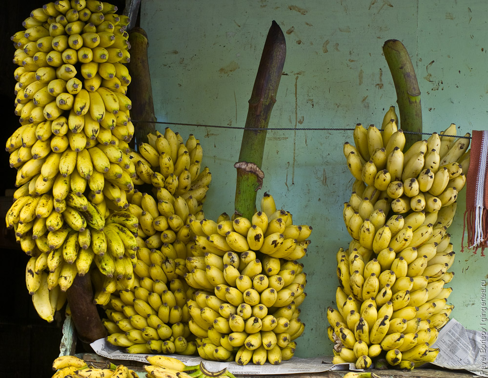 Какие бывают бананы. Сорта, вкус и слепое тестирование