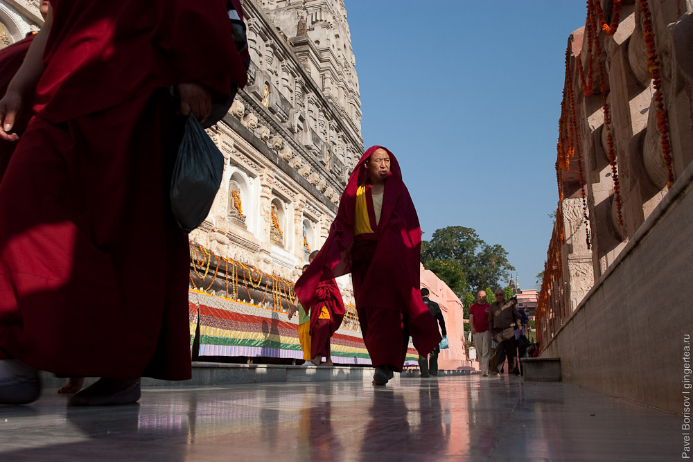 Буддийский фестиваль Кагью Монлам. Фоторепортаж