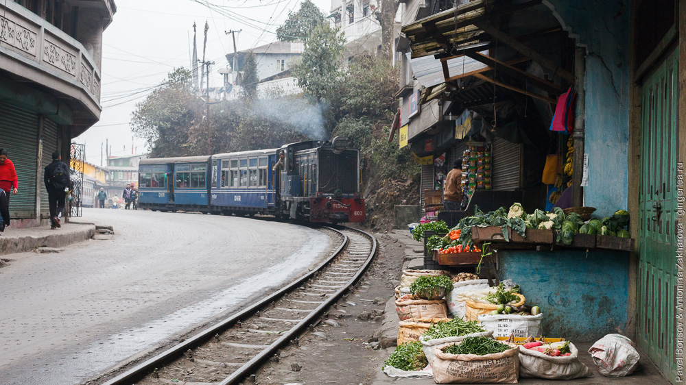 Узкоколейный тепловоз едет по узкой улочке Дарджилингская Гималайская железная дорога