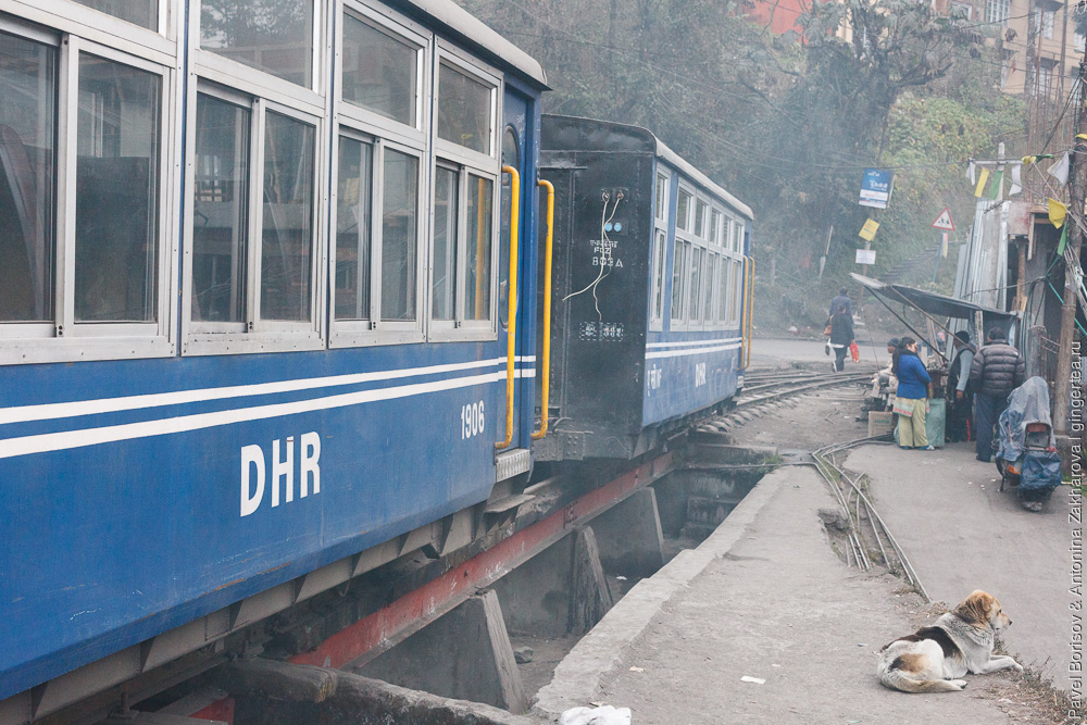 Вокзал в Дарджилинге, узкоколейные пассажирские вагоны,Гималайская железная дорога