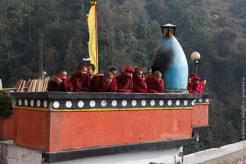 монахи в тибетском монастыре