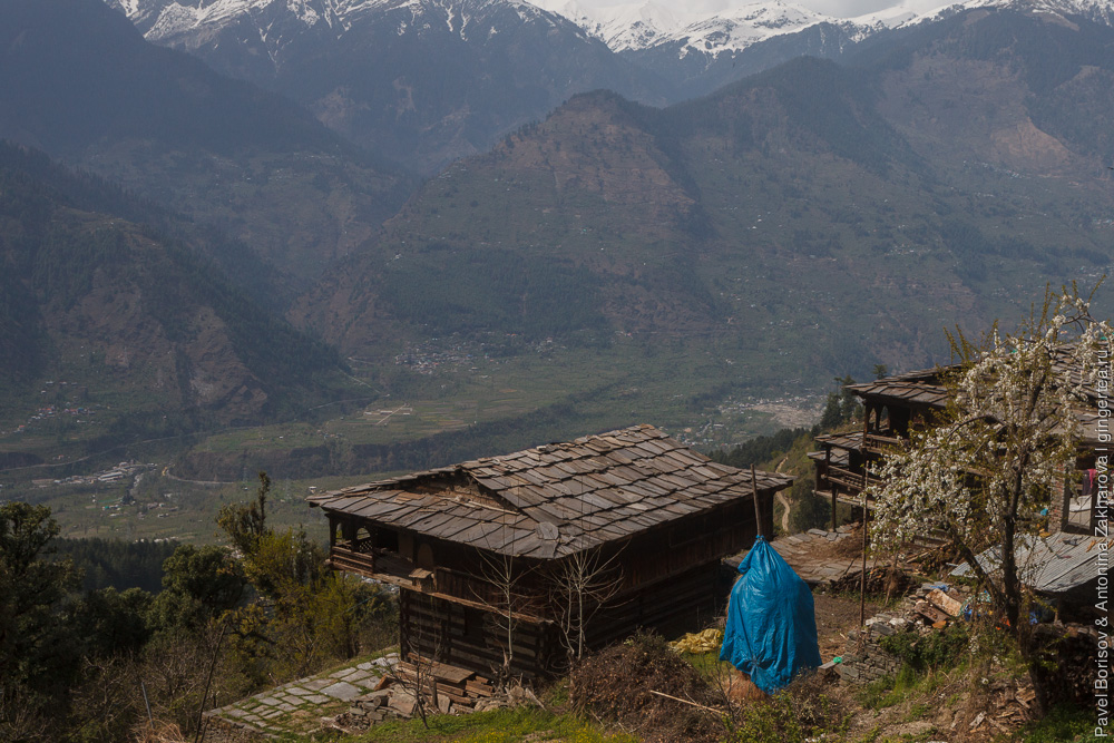 дом в деревне Чичоги в Индийских Гималаях