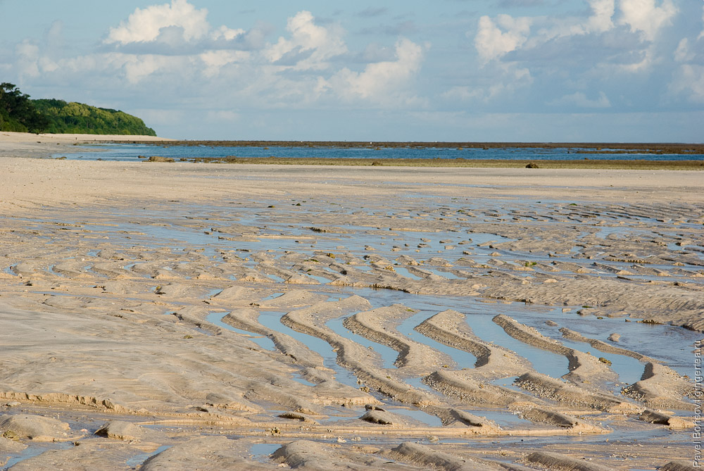 Черепашьи пляжи на острове Сумбава
