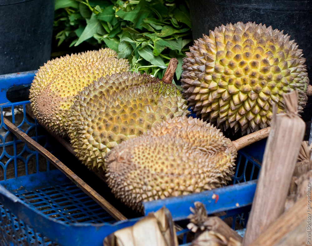 Экзотические фрукты в Индонезии