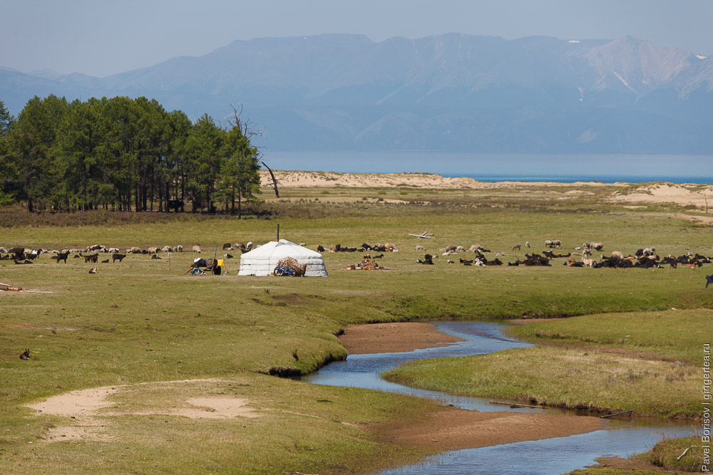 юрты на озере Хубсугул в Монголии