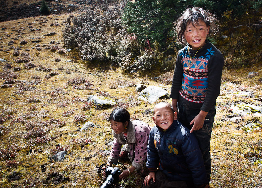 Дети тибетских пастухов