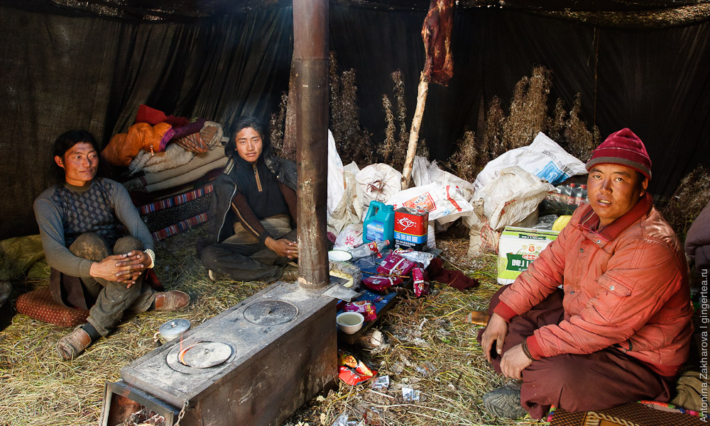 в палатке тибетских пастухов у горы Гьеньен, Сычуань