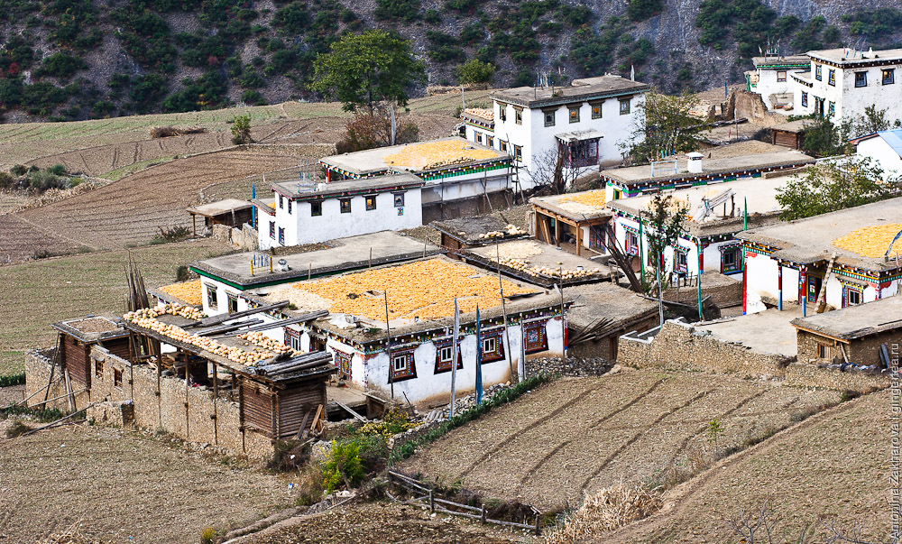 традиционная деревня в Тибете