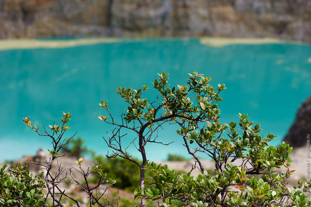 Разноцветные озера на вулкане Келимуту