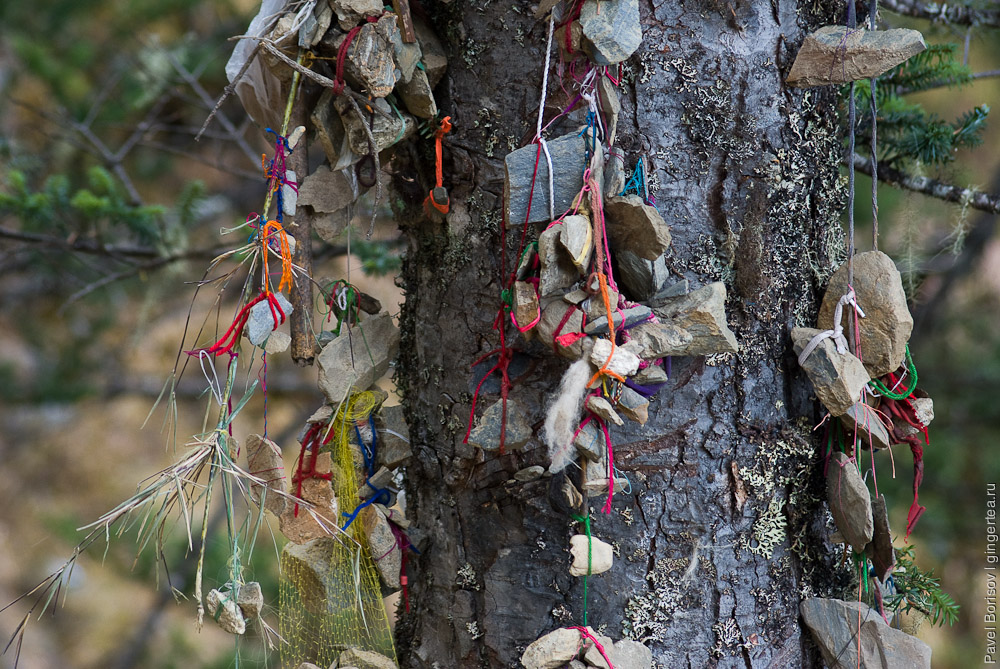 тибетские талисманы на дереве около тропы