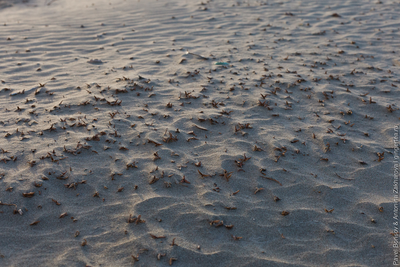 песок в пустыне Такла-Макан