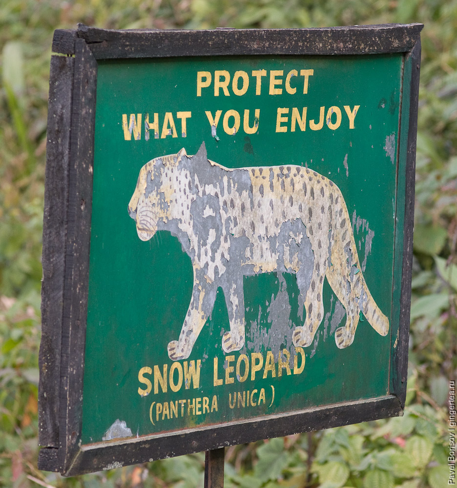 Кто живет в Гималаях или с фотоаппаратом по сиккимскому зоопарку