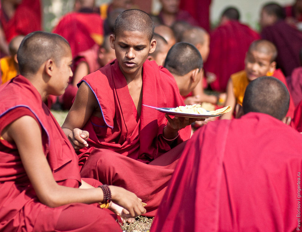 Как живут монахи в Бодхгае