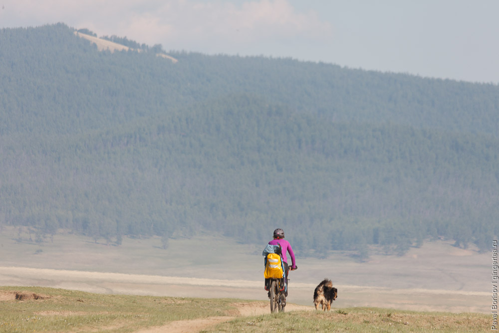 велопоход Россия - Монголия, берег озера Хубсугул