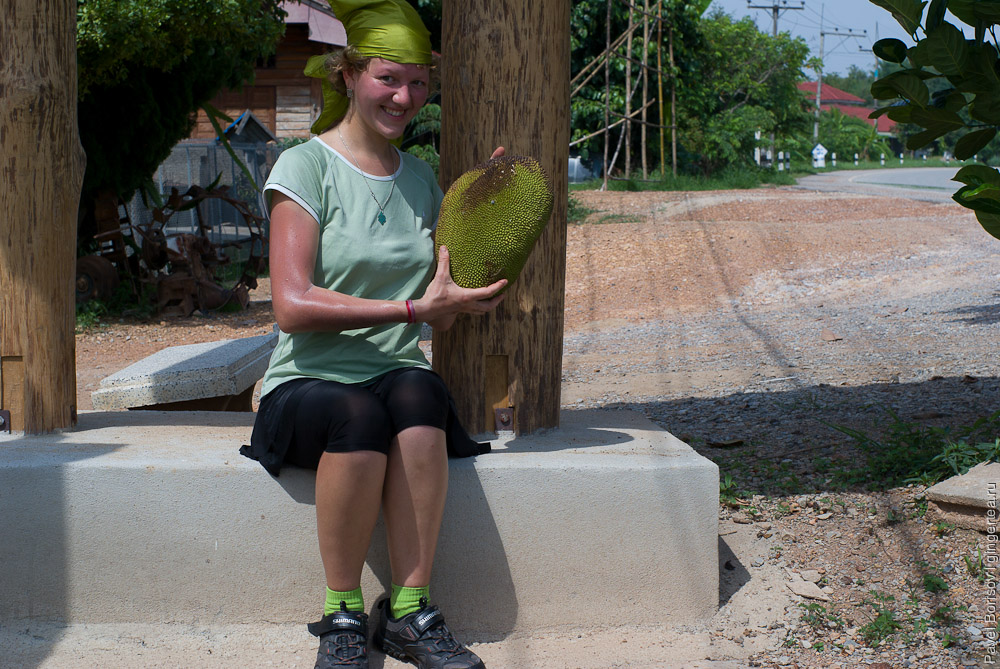 огромный экзотический фрукт - джекфрут в Таиланде